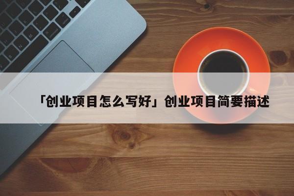 「创业项目怎么写好」创业项目简要描述