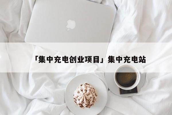 「集中充电创业项目」集中充电站