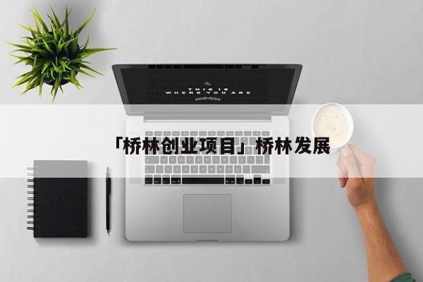「桥林创业项目」桥林发展