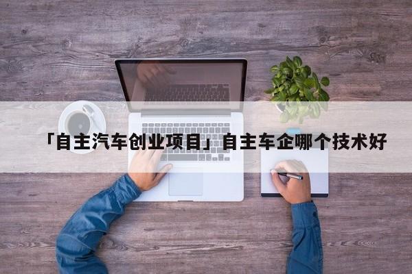 「自主汽车创业项目」自主车企哪个技术好