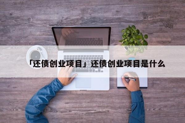 「还债创业项目」还债创业项目是什么