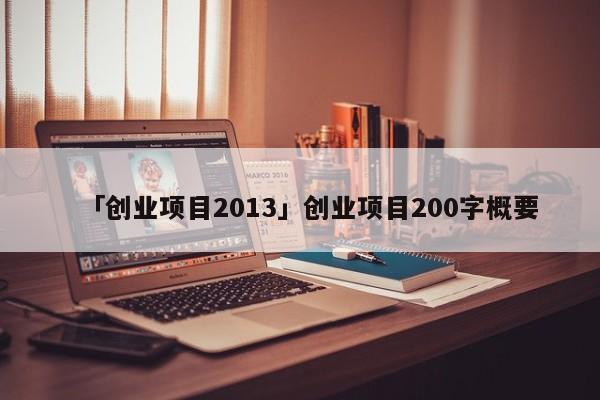「创业项目2013」创业项目200字概要
