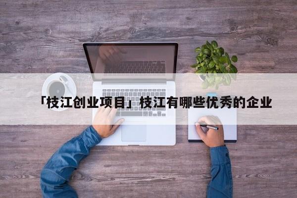 「枝江创业项目」枝江有哪些优秀的企业