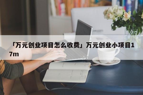 「万元创业项目怎么收费」万元创业小项目17m