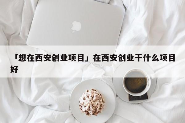 「想在西安创业项目」在西安创业干什么项目好