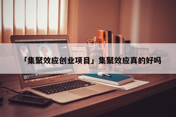 「集聚效应创业项目」集聚效应真的好吗