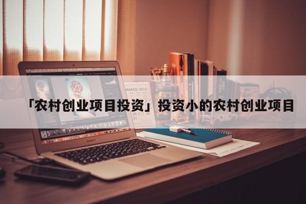 「农村创业项目投资」投资小的农村创业项目