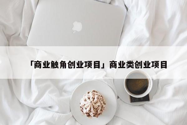 「商业触角创业项目」商业类创业项目