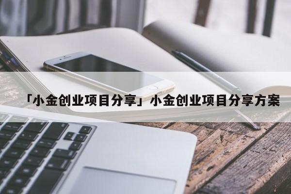 「小金创业项目分享」小金创业项目分享方案