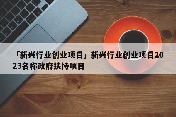 「新兴行业创业项目」新兴行业创业项目2023名称政府扶持项目