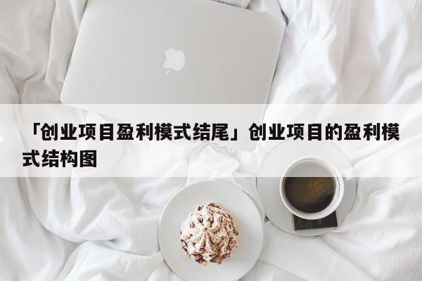 「创业项目盈利模式结尾」创业项目的盈利模式结构图