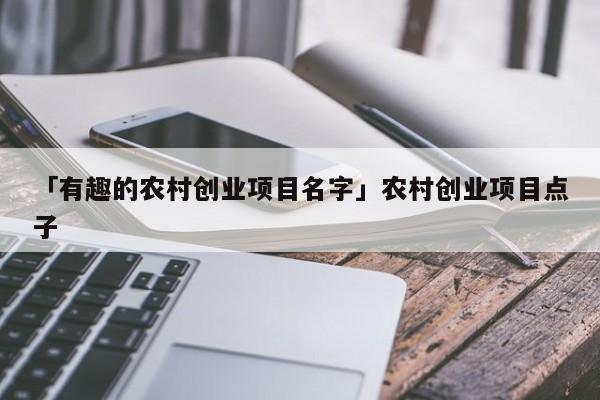 「有趣的农村创业项目名字」农村创业项目点子